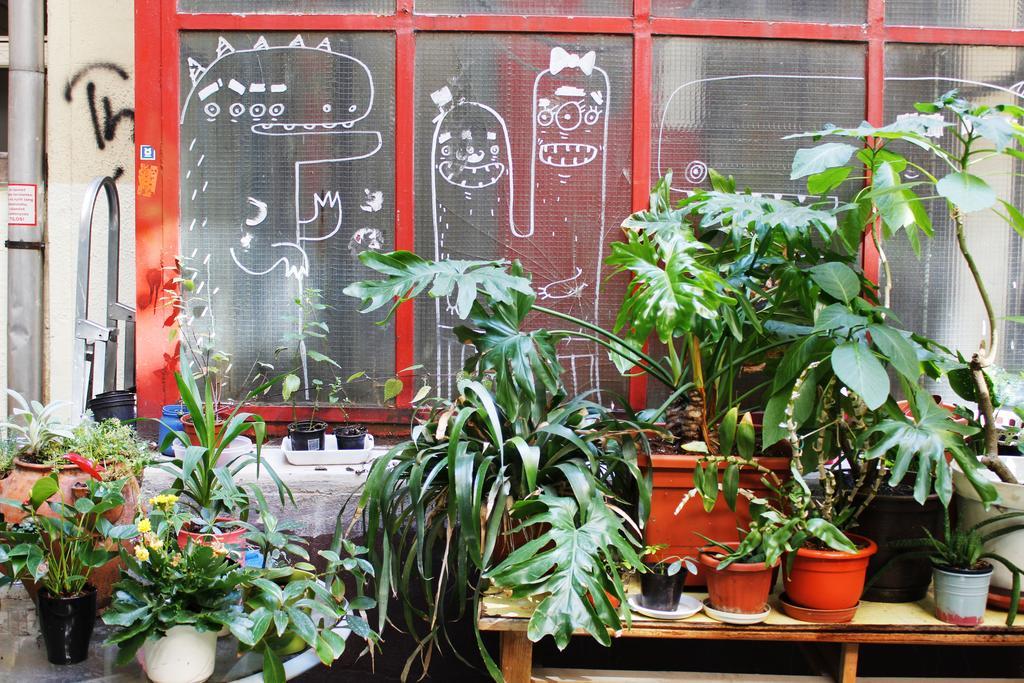 Dbc Hostel 布达佩斯 外观 照片